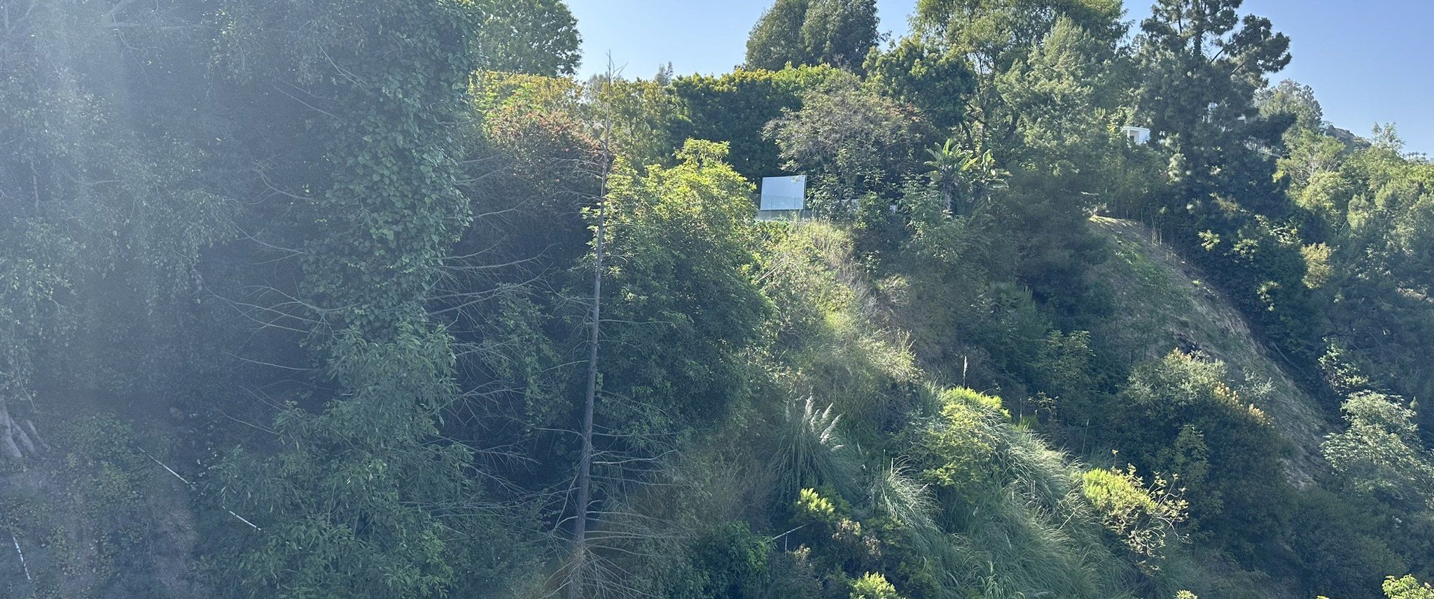 The steep, brush-covered canyon slope at the Akopi Builders hillside custom home site in Bel Air